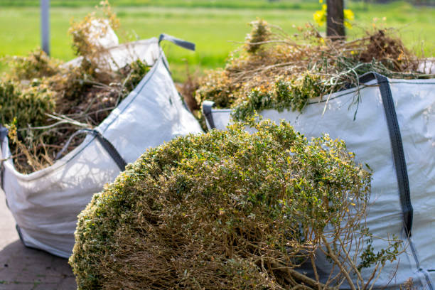 Best Same-Day Junk Removal Services  in Macon, MS